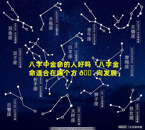八字中金命的人好吗「八字金命适合在哪个方 🐴 向发展」